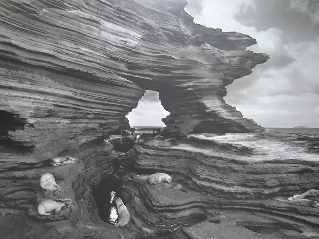 Fotografo Sebastián Salgado: Imagenes e Info