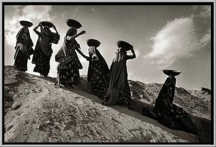sebastian salgado