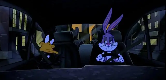 bunny