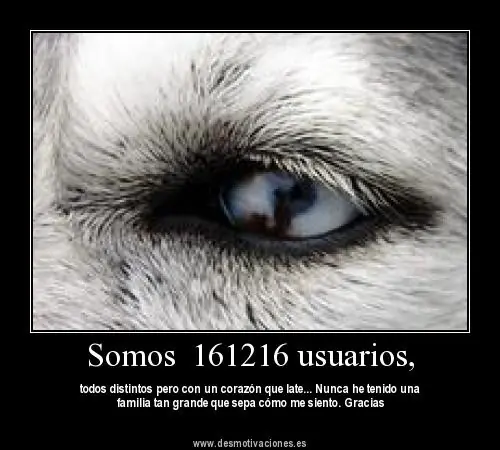 imagenes para pasar el rato