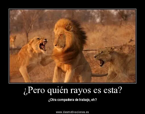 Imagenes de Desmotivaciones 3º Que avanzo...