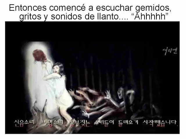 drogas drogas
