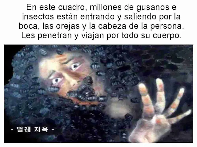 drogas drogas