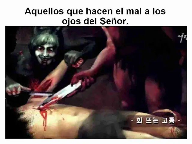 drogas drogas