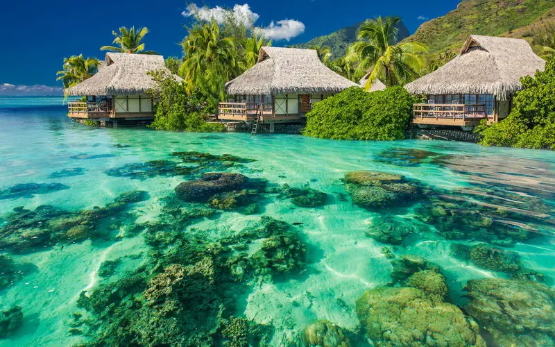 paraiso