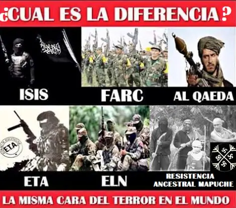 Odio racial a los criollos