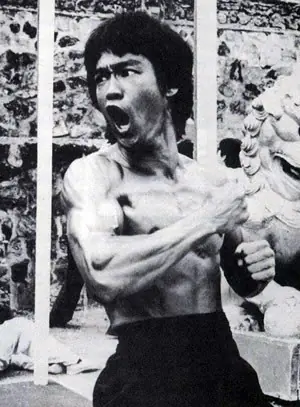 jeet kune do
