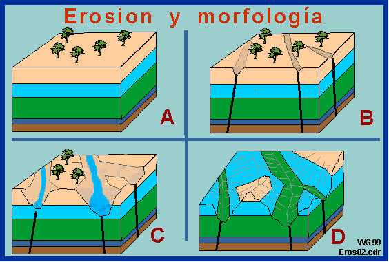 Ciencia Exacta