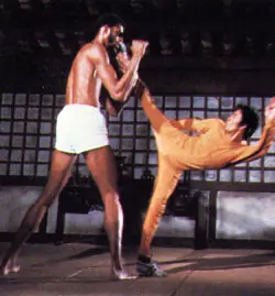 bruce lee