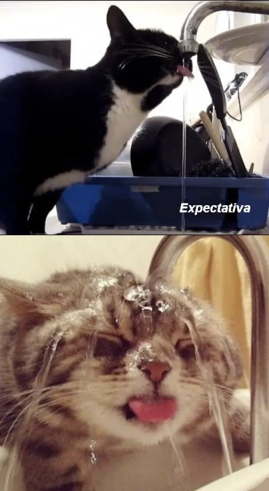 Expectativa vs. realidad, ¿quién gana?