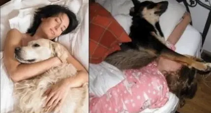 expectativa vs realidad