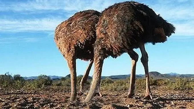 Conceptos erróneos que casi todos tenemos