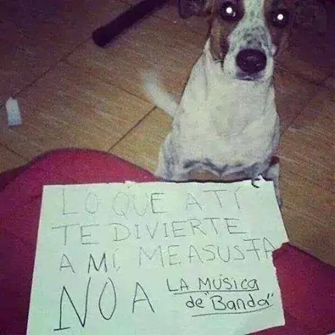 violencia intrafamiliar