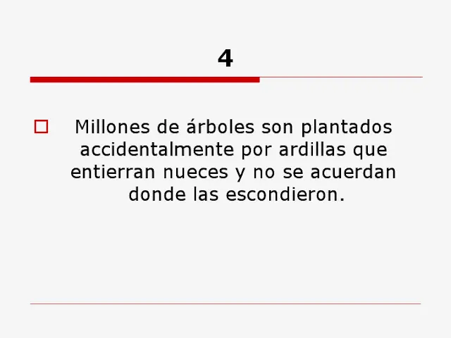 saber antes
