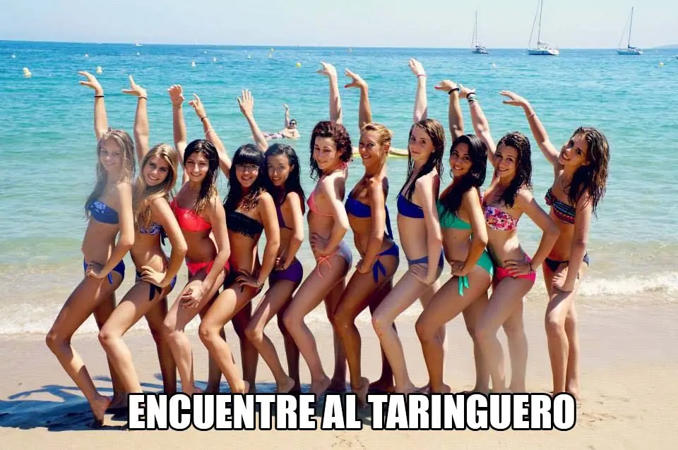 Traductor