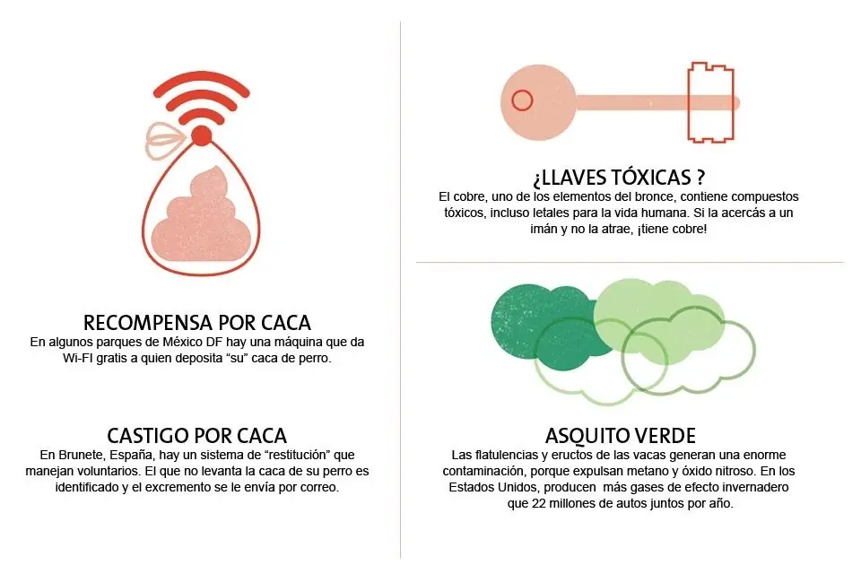 consejos