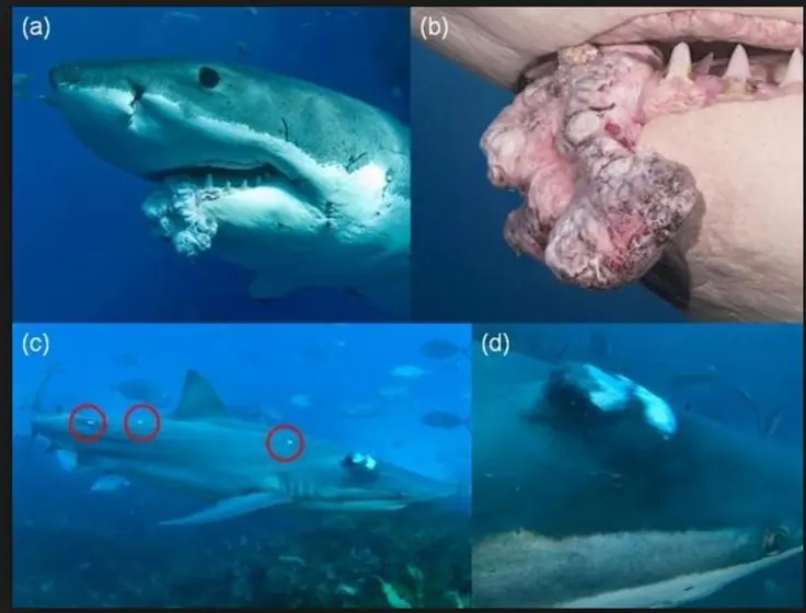 conceptos cientificos