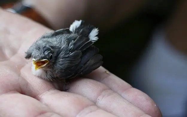 Conceptos  erróneos que casi todos tenemos