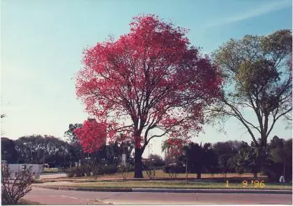 santa fe ciudad