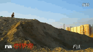 Gifs