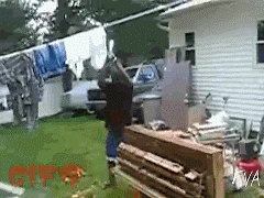 Gifs