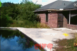 Gifs