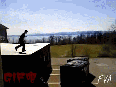 Gifs