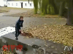 Más de 50 gifs fail para empezar el viernes