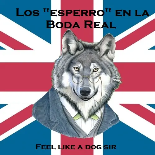 humor