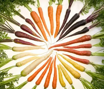 frutas