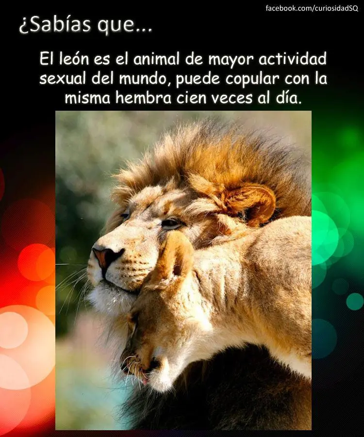 cumpleanos feliz