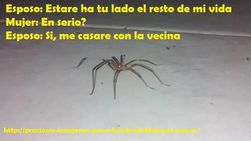 +2 Por Cada Risa
