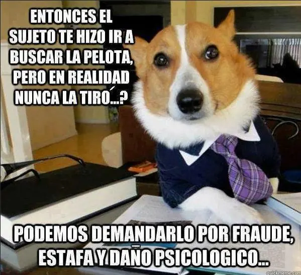diversion