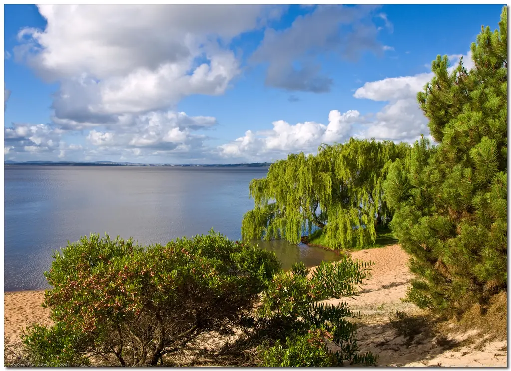 Te muestro paisajes de Uruguay, veni ponete el cinturon