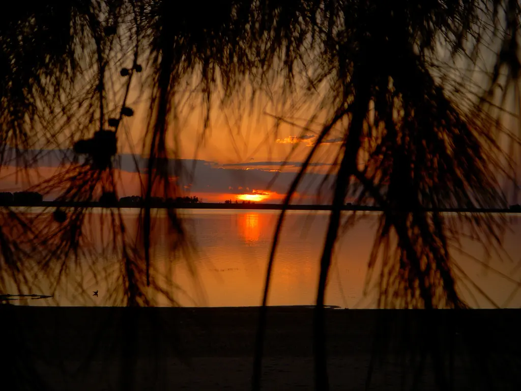 Te muestro paisajes de Uruguay, veni ponete el cinturon