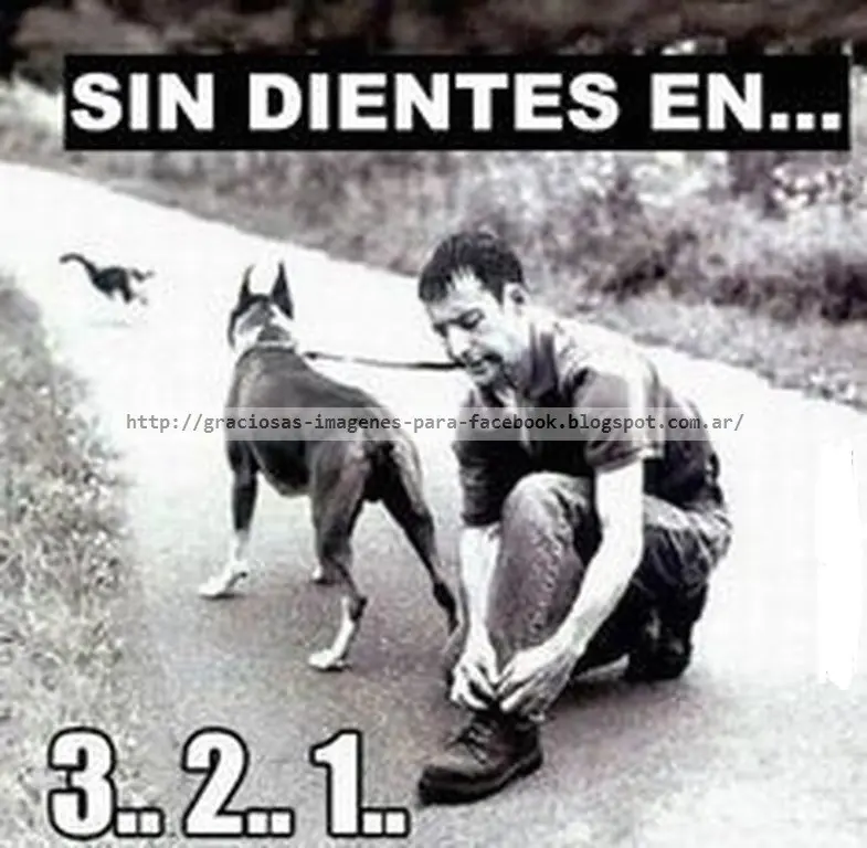 chistes
