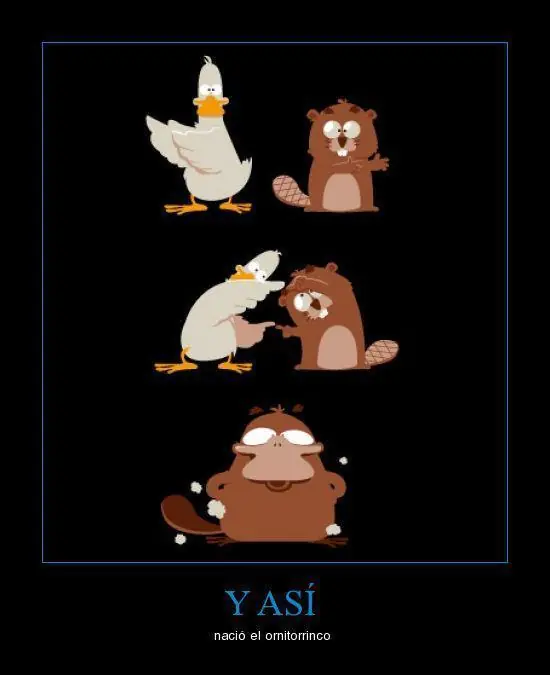 imagenes