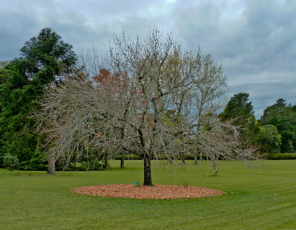 Te muestro paisajes de Uruguay, veni ponete el cinturon