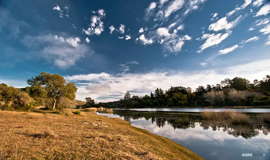 Te muestro paisajes de Uruguay, veni ponete el cinturon