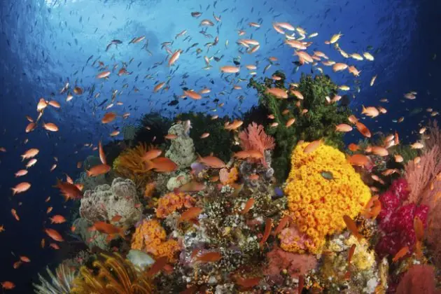 7 lugares más vulnerables de la Tierra