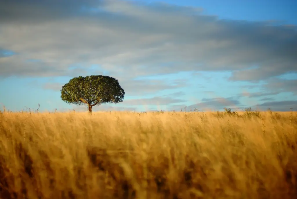 Te muestro paisajes de Uruguay, veni ponete el cinturon