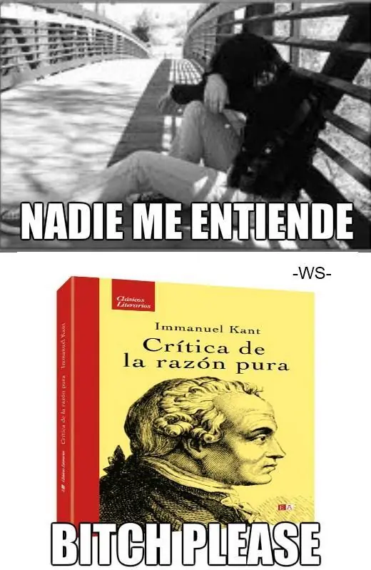 sociologia