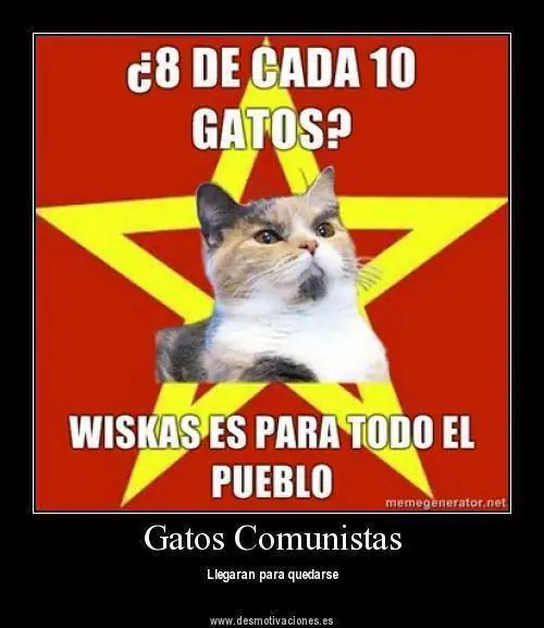 Filosofia