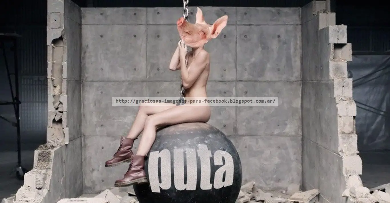 imagenes graciosas
