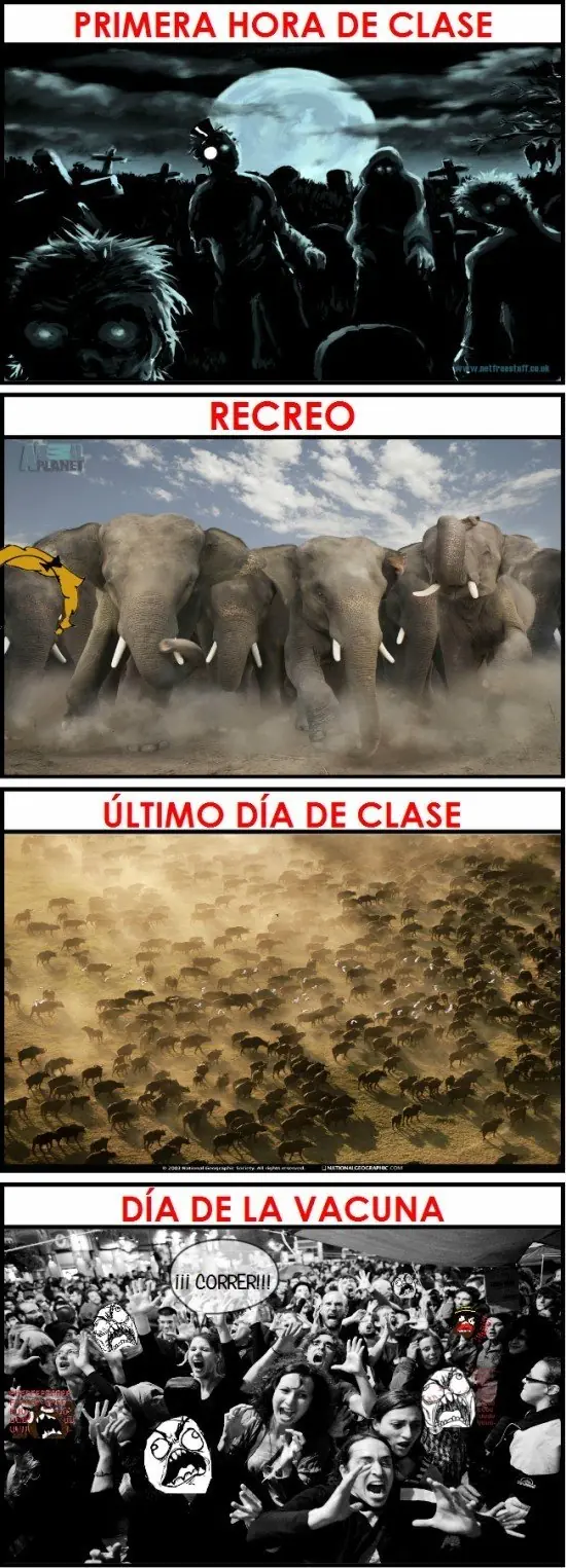 imagenes