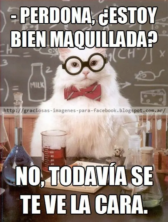 imagenes graciosas