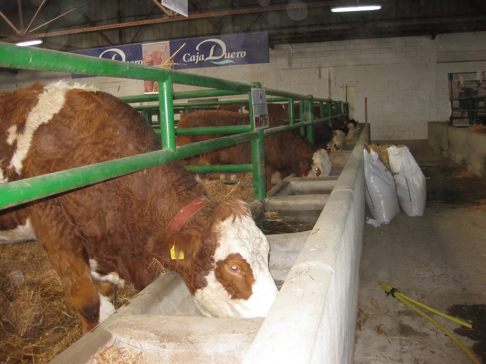El Impacto Ambiental de la Producción Agro-ganadera