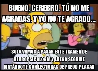sociologia