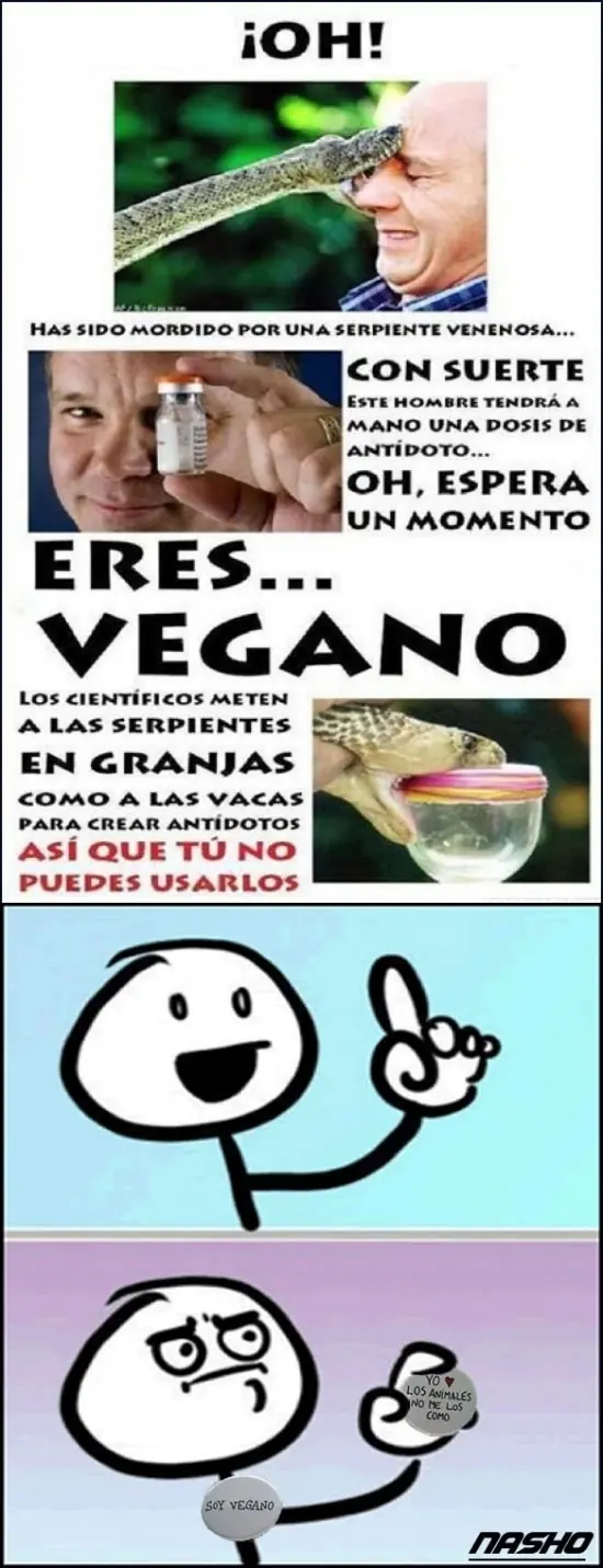 yao ming meme