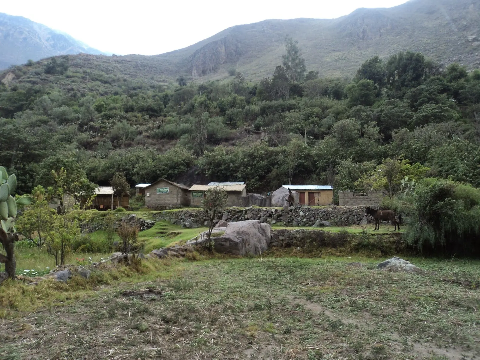 Treking en el Canon de colca